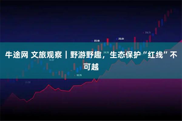 牛途网 文旅观察｜野游野趣，生态保护“红线”不可越