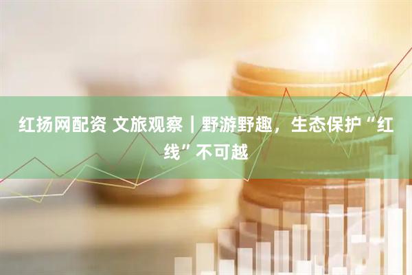 红扬网配资 文旅观察｜野游野趣，生态保护“红线”不可越