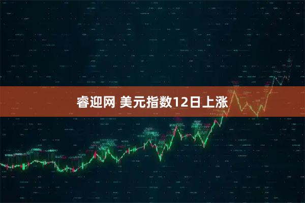 睿迎网 美元指数12日上涨