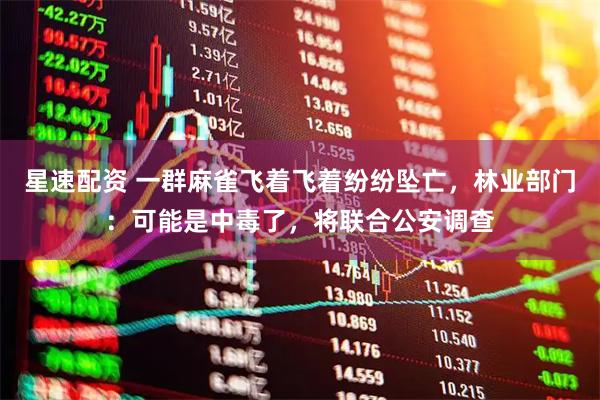 星速配资 一群麻雀飞着飞着纷纷坠亡，林业部门：可能是中毒了，将联合公安调查
