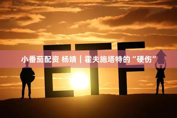 小番茄配资 杨靖︱霍夫施塔特的“硬伤”