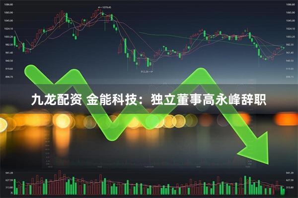 九龙配资 金能科技：独立董事高永峰辞职